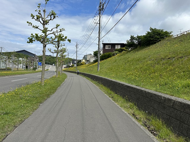 駅からの道